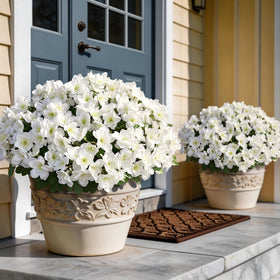 YXZZWL artificial azalea 16-inch front door bundle adds lasting curb appeal.