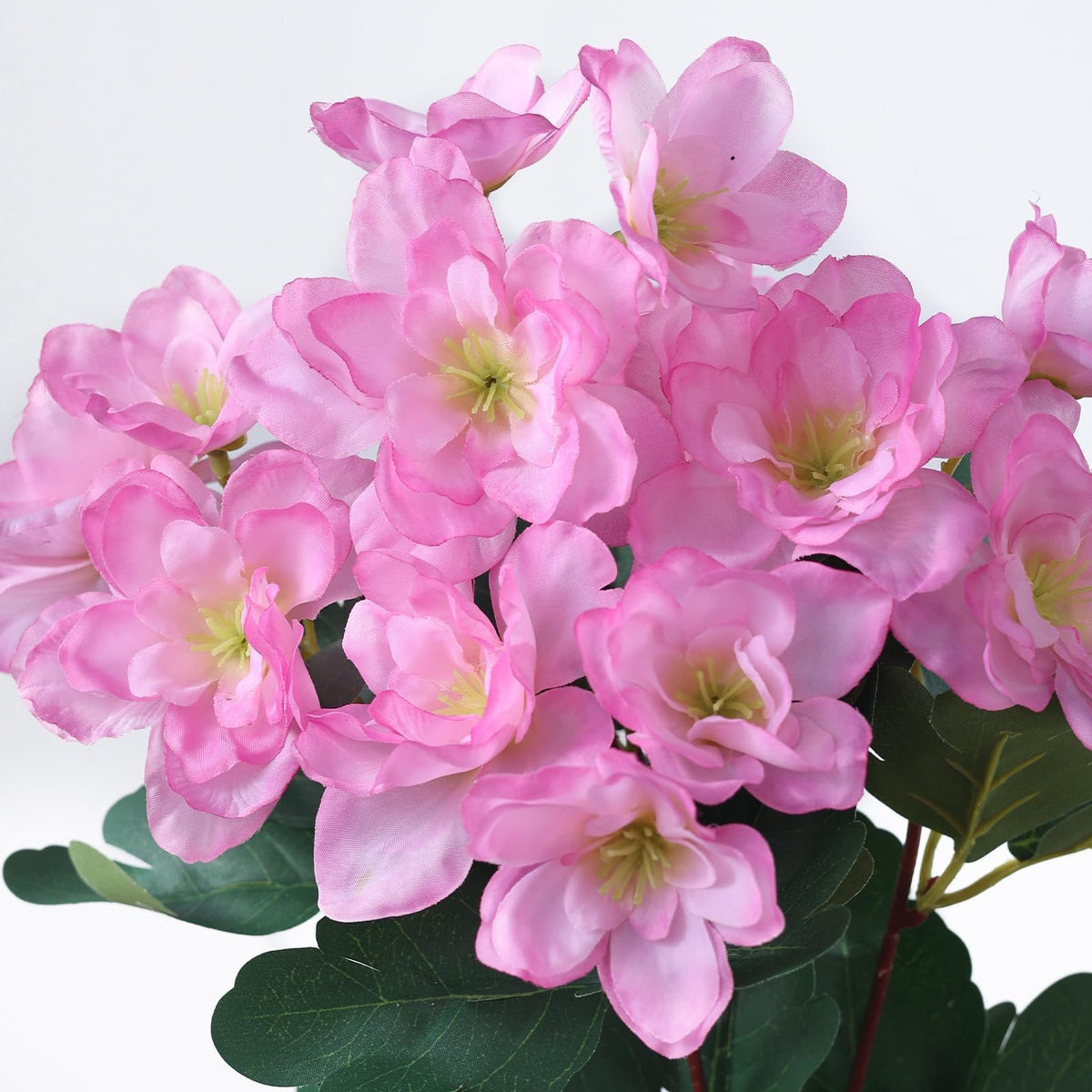 YXZZWL azalea versatile indoor-outdoor design for many spaces.