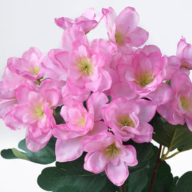 YXZZWL azalea versatile indoor-outdoor design for many spaces.