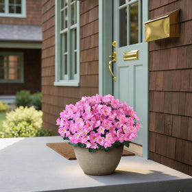 YXZZWL azalea maintenance-free decor for busy homes.
