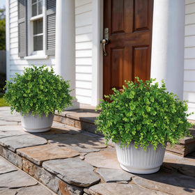 YXZZWL Versatile Eucalyptus Topiary for Bathrooms, Offices, or Balconies