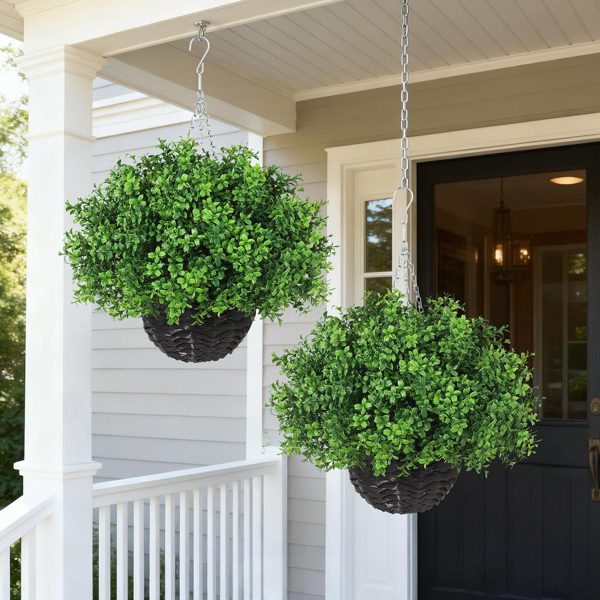 YXZZWL boxwood leaves closeup reveals realistic texture and vivid color.