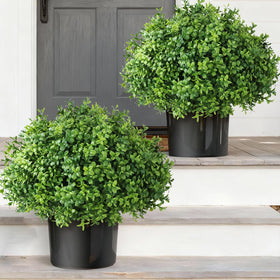 YXZZWL boxwood topiary pair, 17-inch height, ideal for porch entrance.