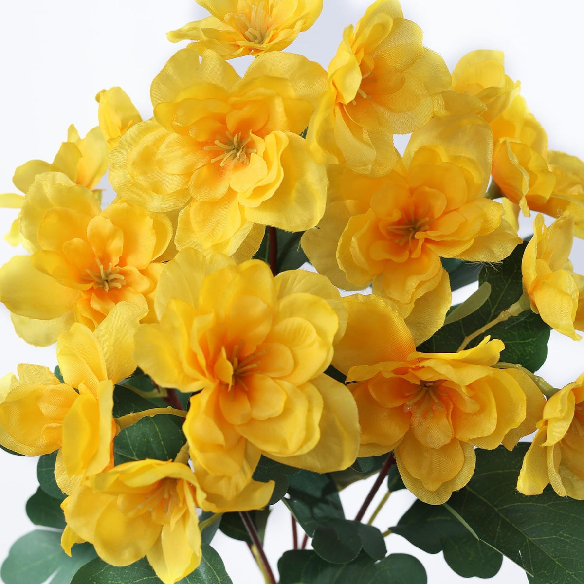 YXZZWL maintenance-free azalea set for pots, balconies, and entryways.