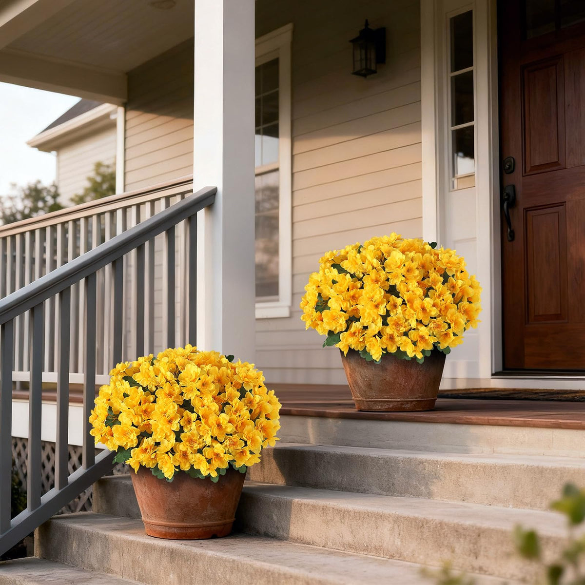 YXZZWL bright yellow azalea topiary enhances porch or balcony.
