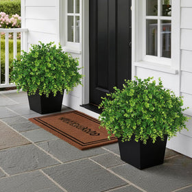 YXZZWL Potted Eucalyptus Topiary Two-Pack adds instant greenery to any entryway