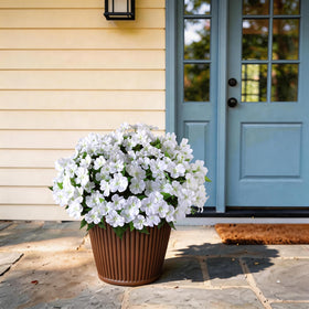YXZZWL waterproof and UV-resistant silk impatiens maintain color in sun.