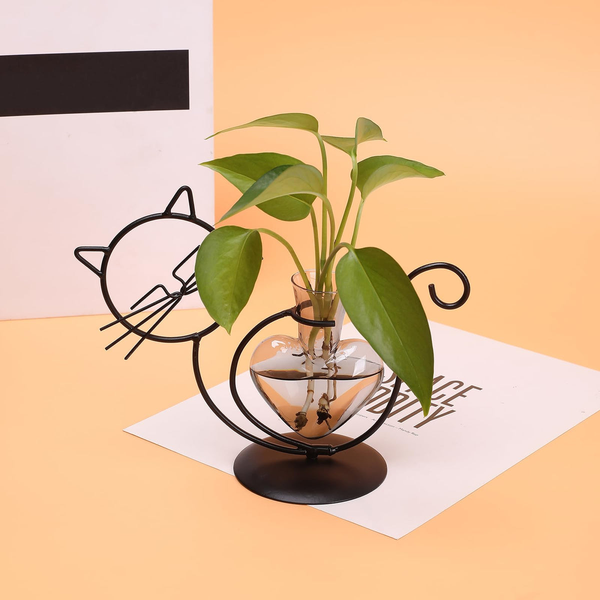 YYHglass gift for women, plant lovers, and cat enthusiasts.