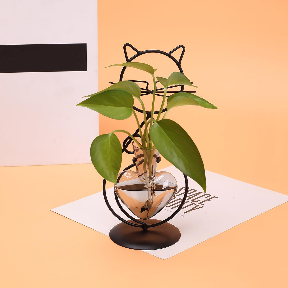 YYHglass home office cat desk accessory pairs with greenery.