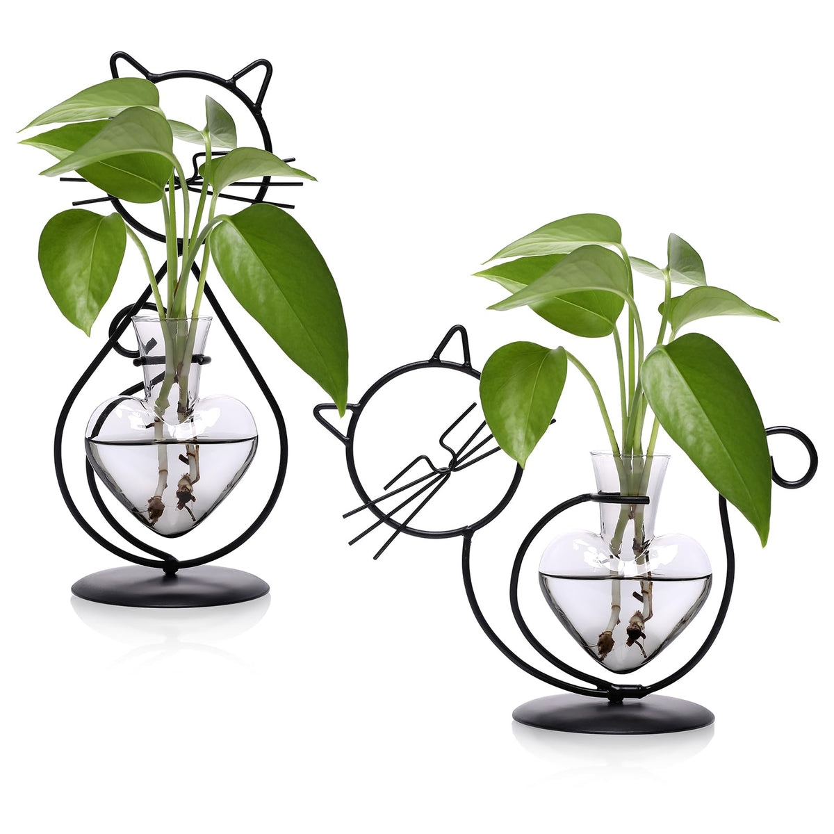 YYHglass plant propagation vase with cat frame enhances desk decor and plant care.