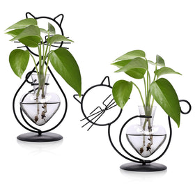 YYHglass plant propagation vase with cat frame enhances desk decor and plant care.