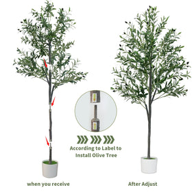 YYTDDUUU 6ft olive tree creates a peaceful focal point in homes