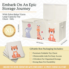 Open Zebra Baby storage with removable dividers for customizable compartments