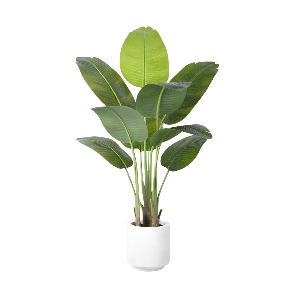 ZEEOZE Bird of Paradise tree in white pot adds tropical ambiance to your space.