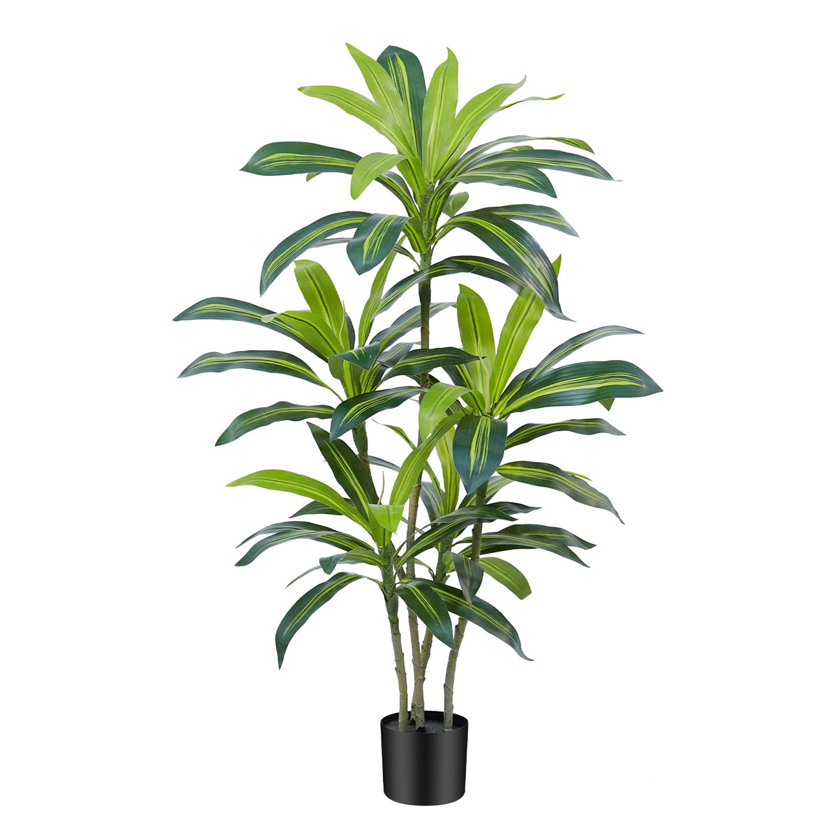 ZEEOZE Dracaena Tree dust-free maintenance year-round beauty