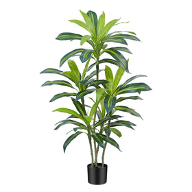 ZEEOZE Dracaena Tree dust-free maintenance year-round beauty