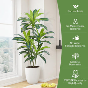 ZEEOZE Dracaena Tree height 4ft visual impact