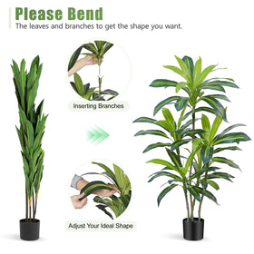 ZEEOZE Dracaena Tree leaf texture close-up with veining
