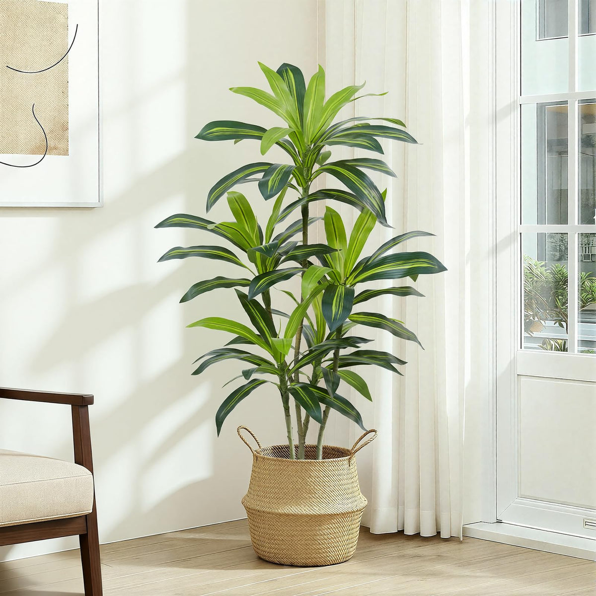 ZEEOZE Dracaena Tree trunks and branching detail showcase natural structure