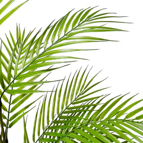 Zelihrdu sturdy cement-sand filled pot keeps the plant standing securely.