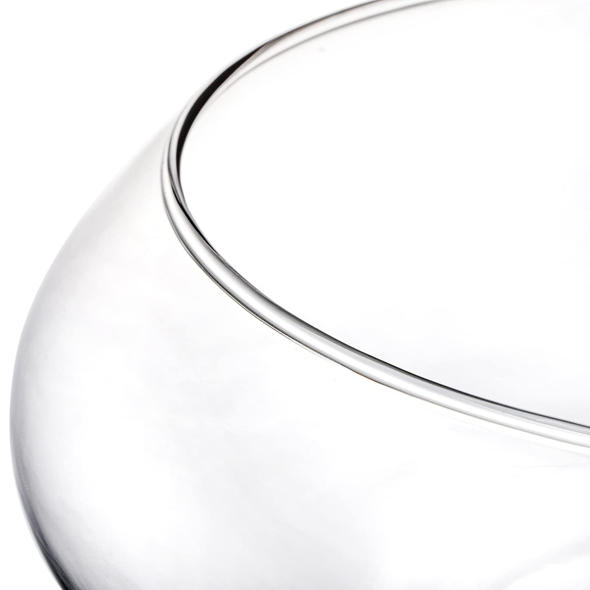 ZENFUN clear glass hydroponic terrarium style for vibrant displays.
