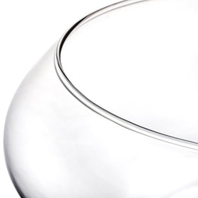 ZENFUN clear glass hydroponic terrarium style for vibrant displays.