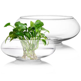 ZENFUN glass vase bowl with a 6-inch wide mouth for compact arrangements.
