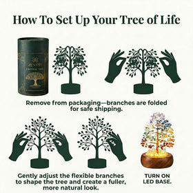 Zentiti tree displays seven chakra colors for balance and focus.