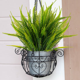Rows of 12 bundles create a lush evergreen backdrop for porch or garden.