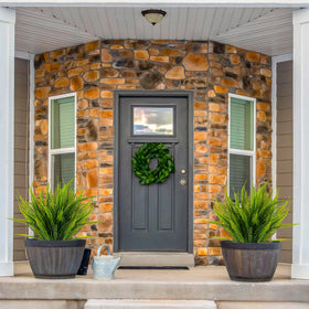 Bright green Boston fern arrangement hanging gracefully to enhance a patio or window box.