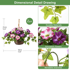 ZFProcess 2Set morning-glory flowers closeup shows vibrant violet tones for outdoor decor.