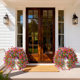 ZFProcess outdoor daisies catch light on windows for enduring color