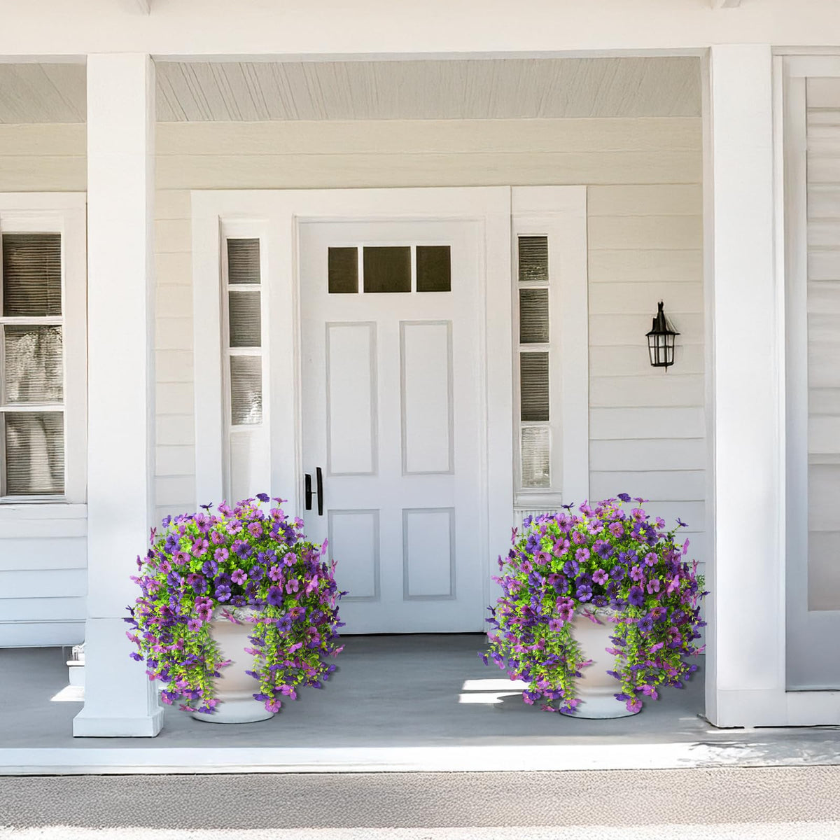 ZFProcess outdoor daisies brighten yards, balconies, and garden corners