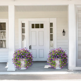 ZFProcess outdoor daisies brighten yards, balconies, and garden corners
