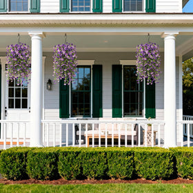 ZFProcess hanging flower set enhances indoor spaces and outdoor patios with spring vibes.
