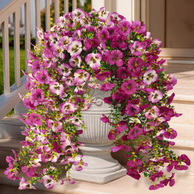ZFProcess fake pansy outdoor flowers add year round color to porches