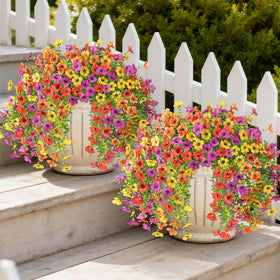 ZFProcess outdoor daisy display stays vibrant in sun due to UV resistance.