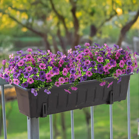 ZFProcess patio and yard bouquets create vivid scenes with minimal upkeep