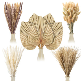 ZhouBoat boho dried pampas grass bulk with tall spears for rustic decor