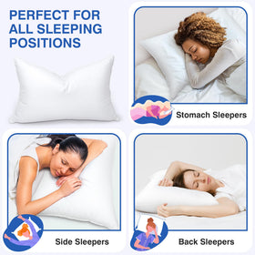 Zibroges feather pillow queen 2-pack cover closeup stitching with smooth surface