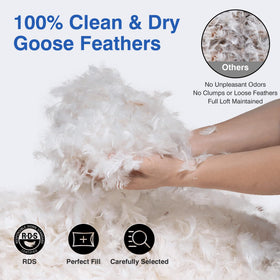 Zibroges feather pillow queen 2-pack side view supports side sleepers