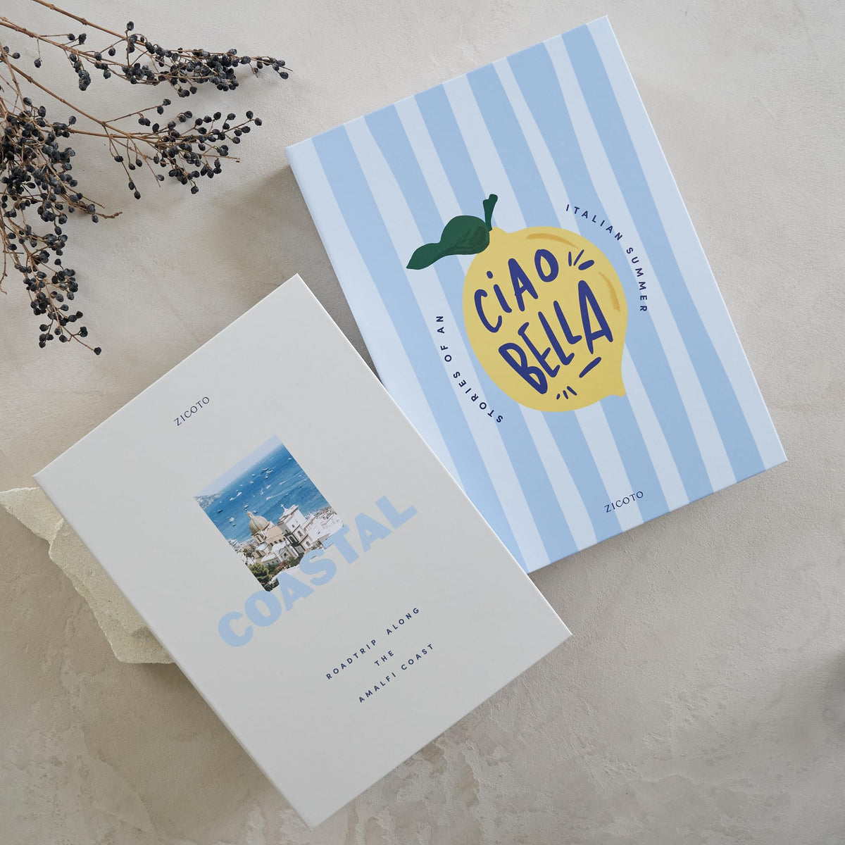 ZICOTO Coastal faux book boxes provide stylish shelf decor with hidden storage.