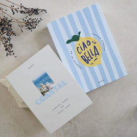 ZICOTO Coastal faux book boxes provide stylish shelf decor with hidden storage.
