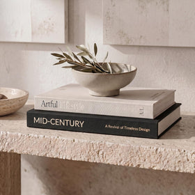 ZICOTO decorative books set 2 in black and beige add sophisticated charm to living room shelves.