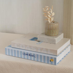 ZICOTO Decorative books set for stylish living room or office decor.