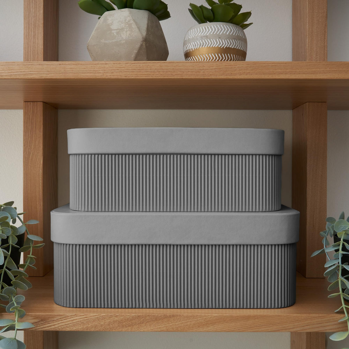 Removable lid design of ZICOTO storage boxes for easy access
