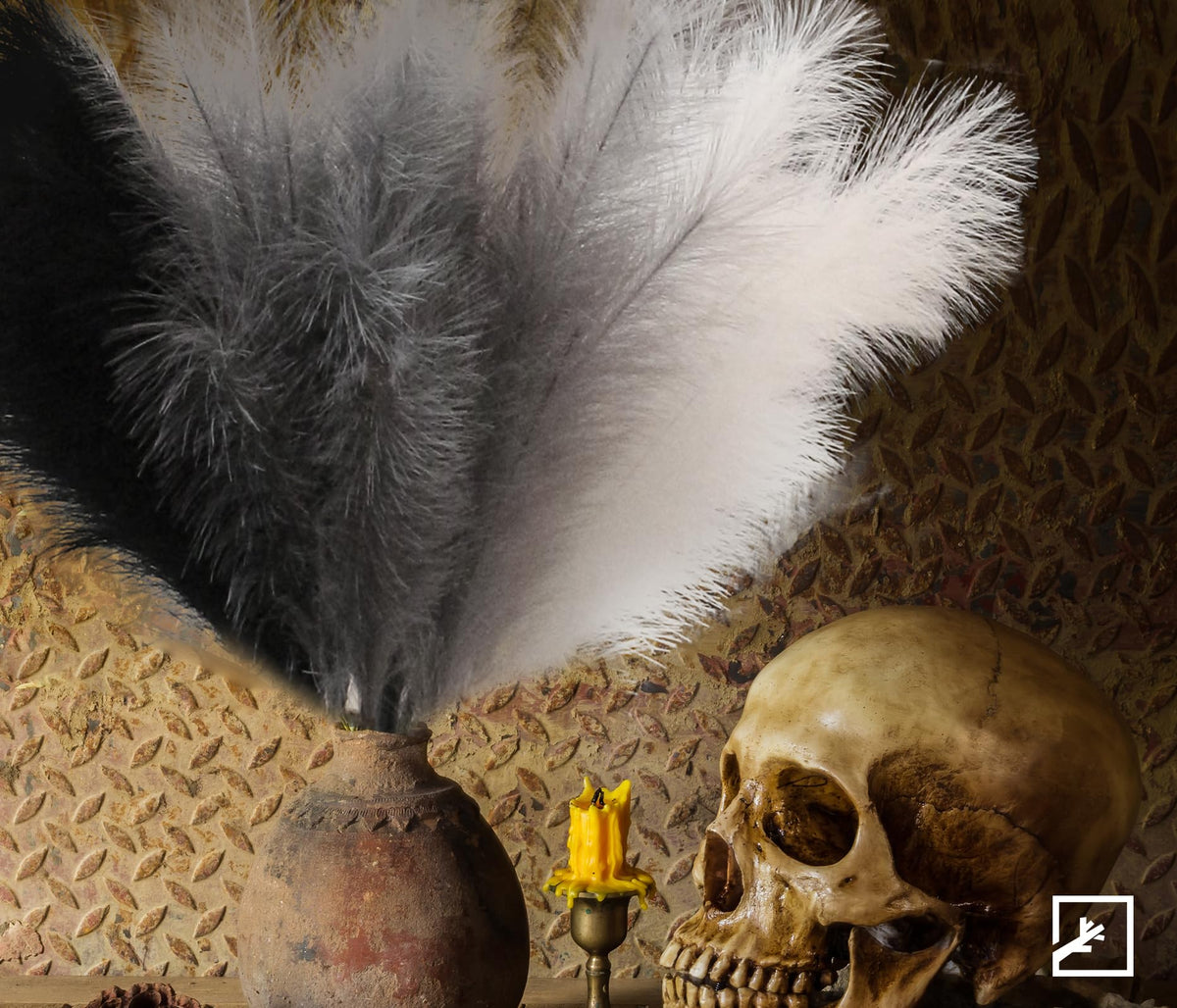 ZIFTY pampas grass in a vase creates stylish floor accents.
