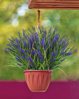 ZINHO weatherproof lavender border suits patios and walkways.