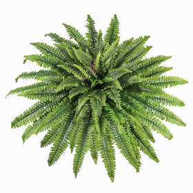 ZooFernzoom 51-inch artificial fern for outdoors adds realistic greenery to any porch.