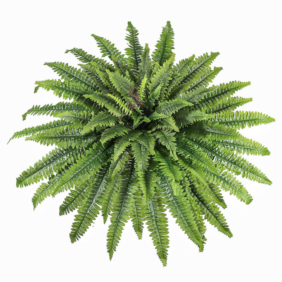 ZooFernzoom 51-inch artificial fern for outdoors adds realistic greenery to any porch.